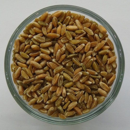 Grünkern