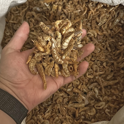 Riesen-Süßwassershrimps
