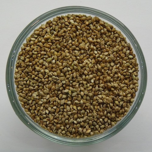 Japanhirse