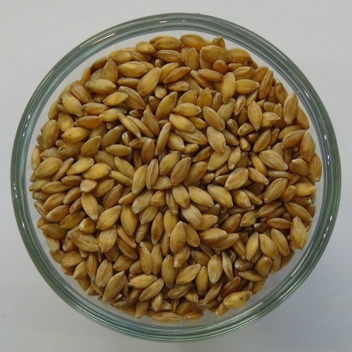 Einkorn