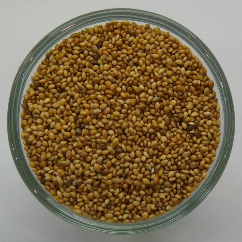Senegalhirse