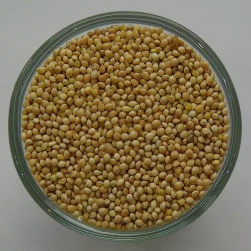 Silberhirse