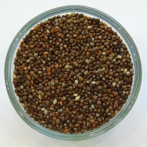 Perilla