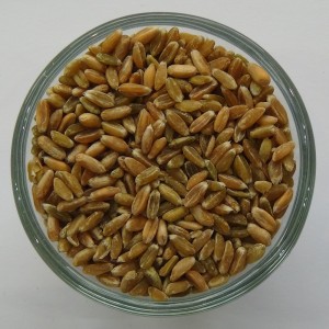 Grünkern