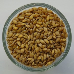 Einkorn