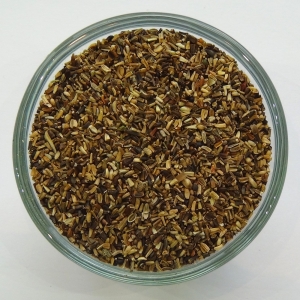 Zichoriensamen