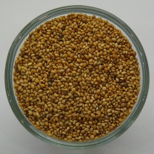Senegalhirse