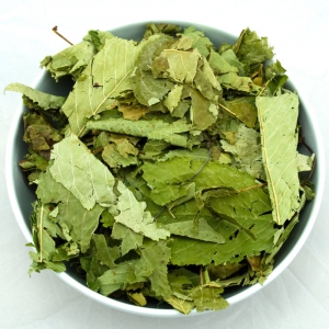 Kirschblätter