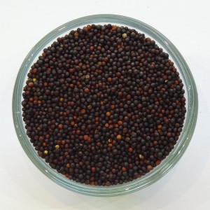 Rübsen