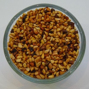 Hagebuttenkerne